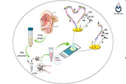 نشست خبری با موضوع: شناسایی ژن‌های کلیدی در سرطان پروستات؛ گامی نوین در جهت درمان هدفمند و شخصی‌سازی درمان